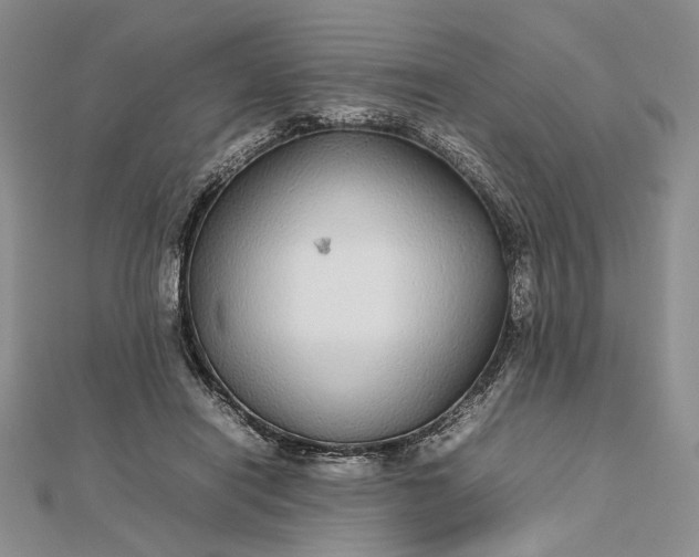 X0000112470454200908311353