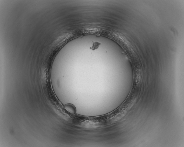 X0000112470455200908311353