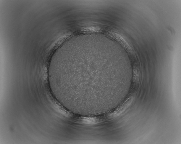 X0000112470457200908311353