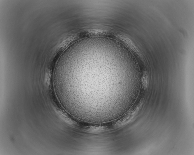 X0000112470458200908311353