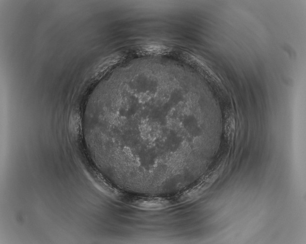 X0000112470459200908311353