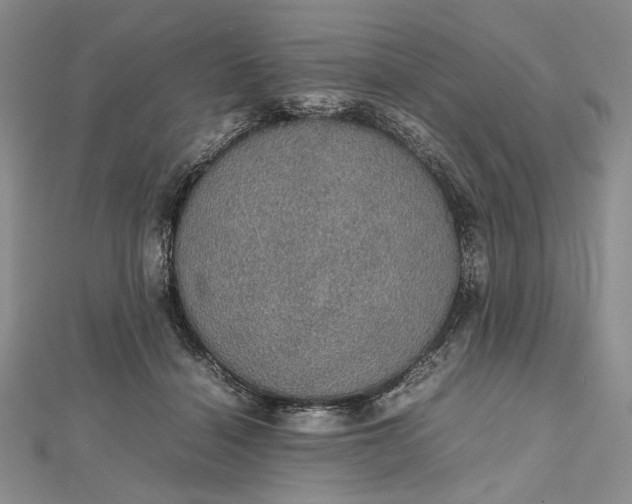 X0000112470460200908311353