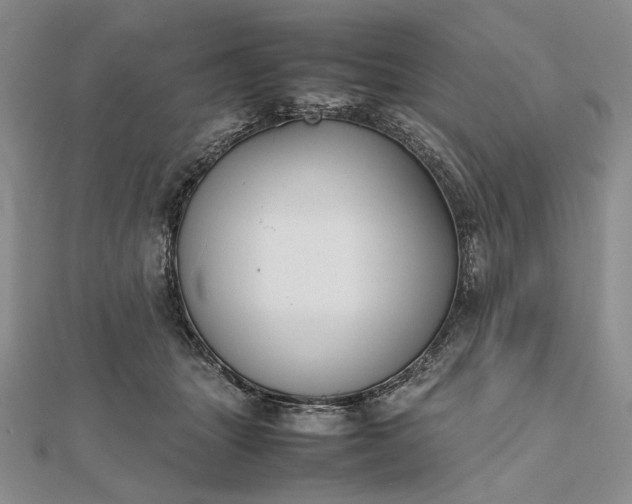 X0000112470463200908311353