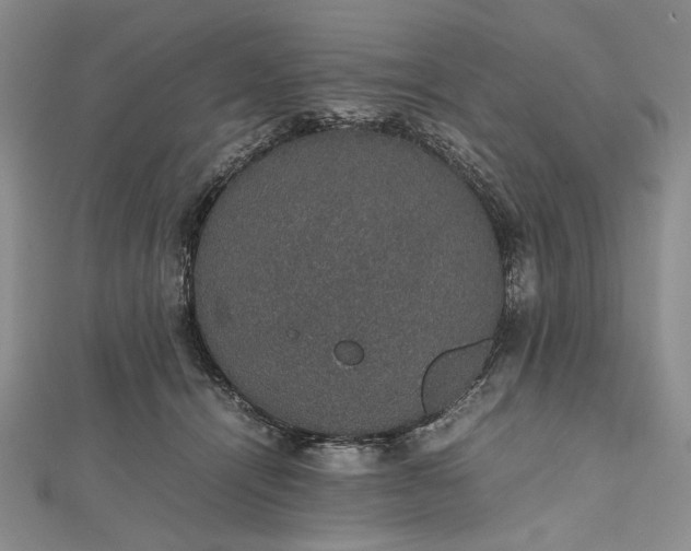 X0000112470464200908311353