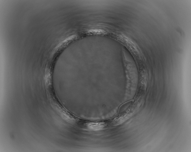 X0000112470465200908311353