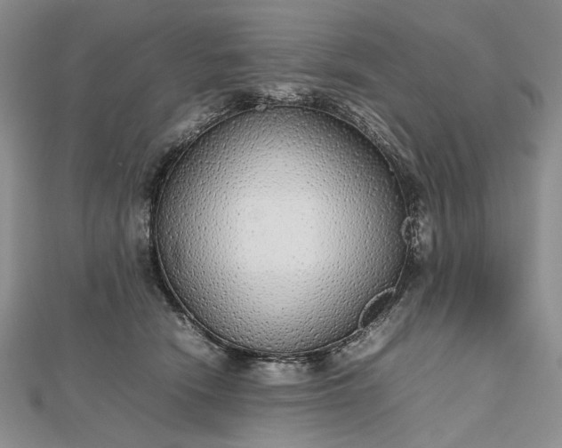 X0000112470466200908311353