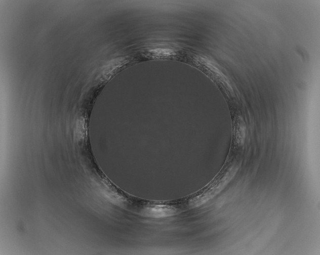 X0000112470467200908311353