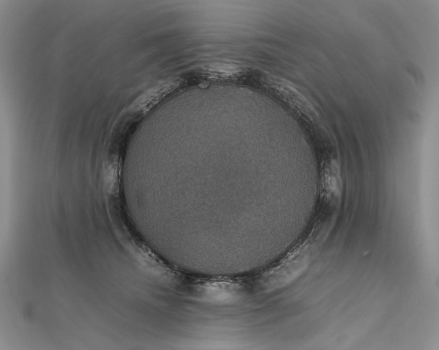 X0000112470468200908311353