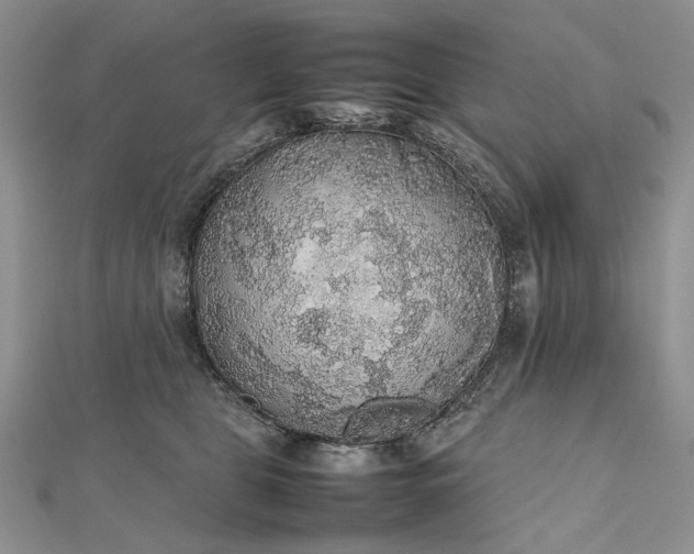 X0000112470469200908311353