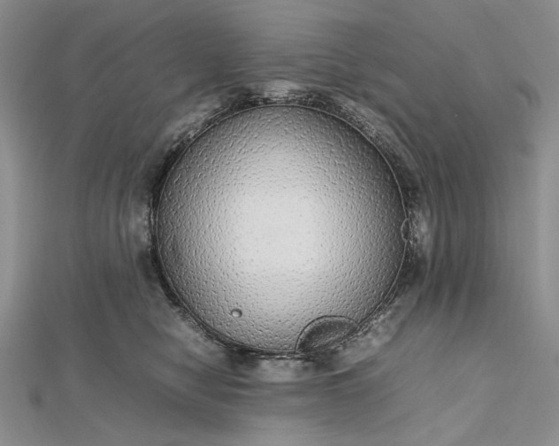 X0000112470470200908311353