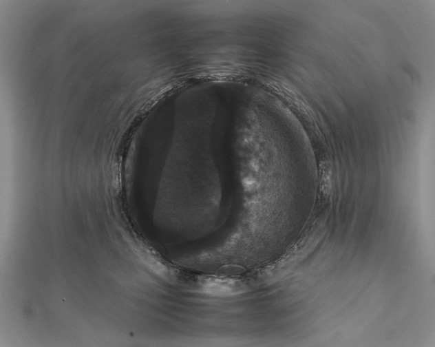 X0000112470471200908311353