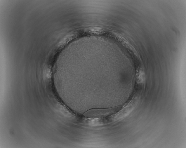 X0000112470472200908311353