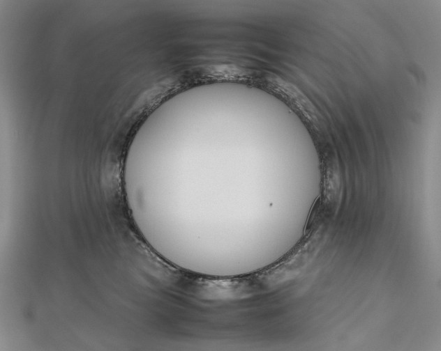 X0000112470473200908311353