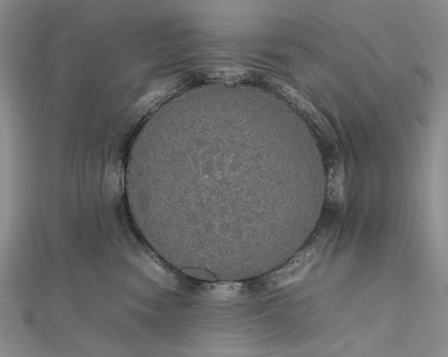 X0000112470474200908311353