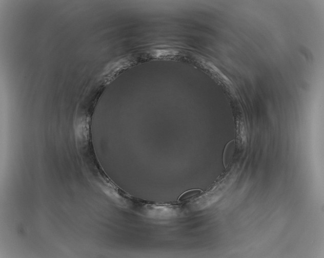 X0000112470475200908311353