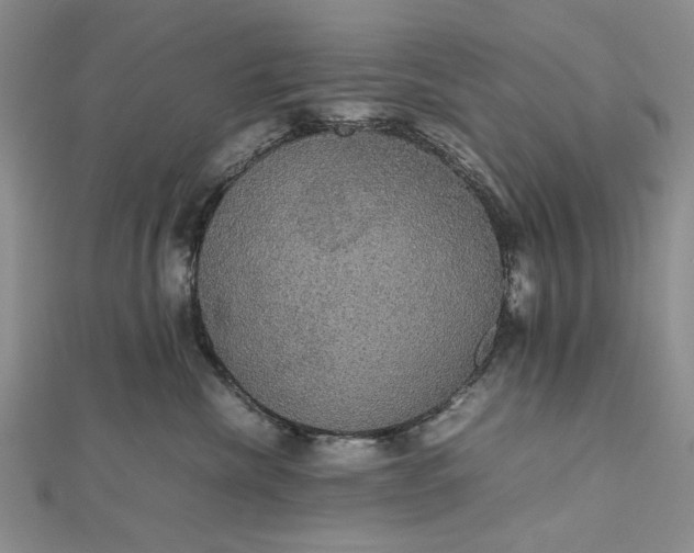 X0000112470476200908311353