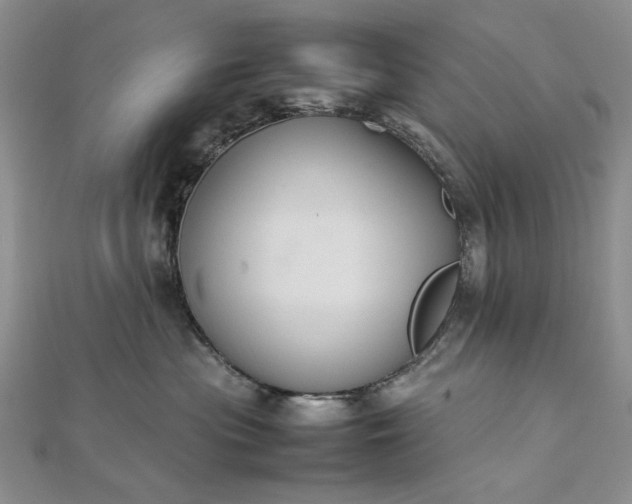 X0000112470477200908311353