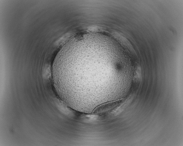 X0000112470478200908311353