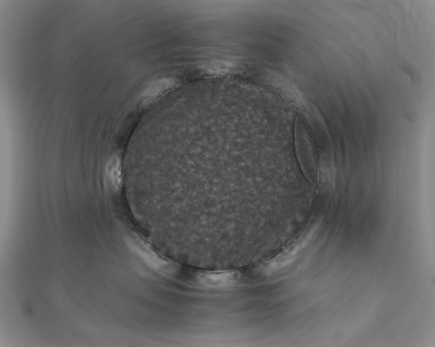 X0000112470479200908311353