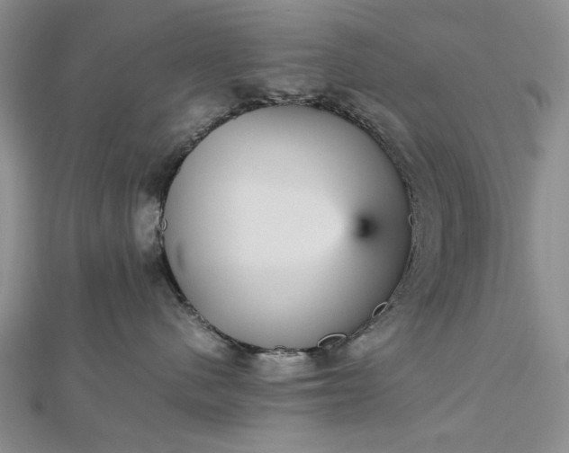 X0000112470480200908311353