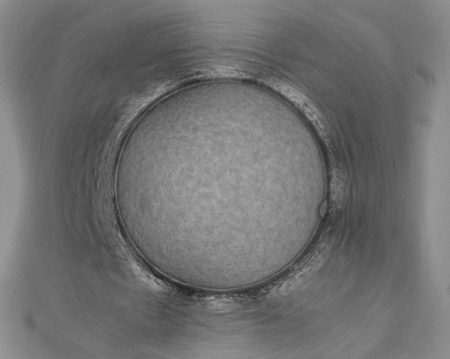 X0000112470481200908311353