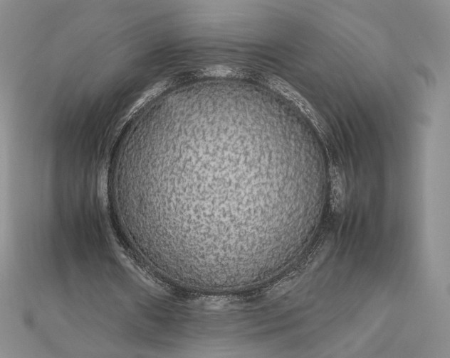 X0000112470482200908311353