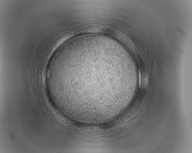 X0000112470483200908311353