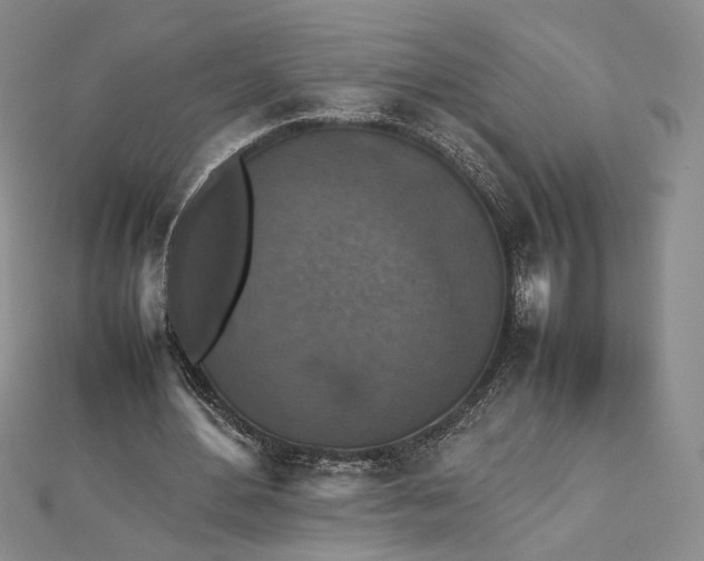 X0000112470484200908311353