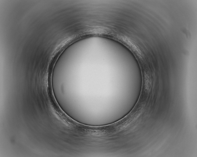 X0000112470486200908311353