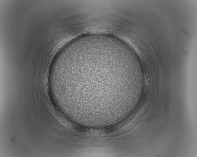 X0000112470487200908311353