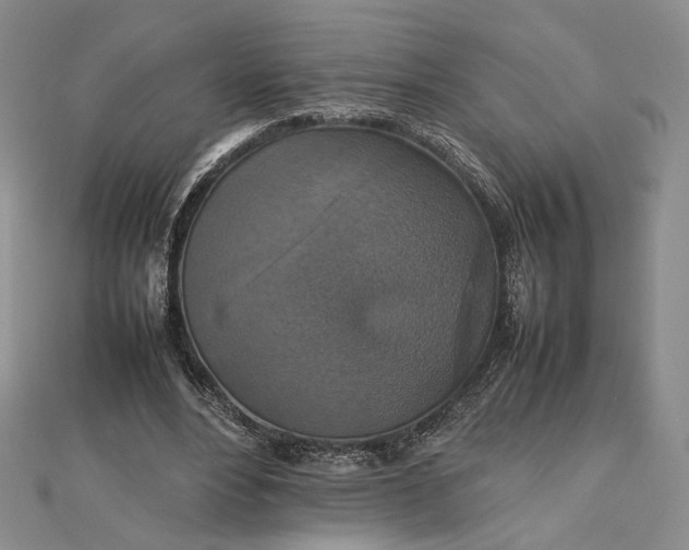 X0000112470488200908311353