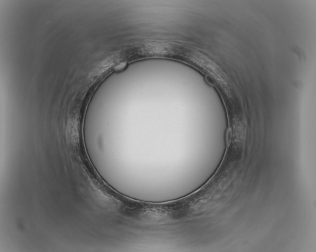 X0000112470489200908311353