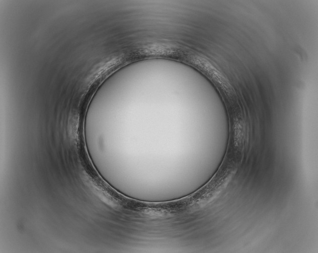 X0000112470490200908311353