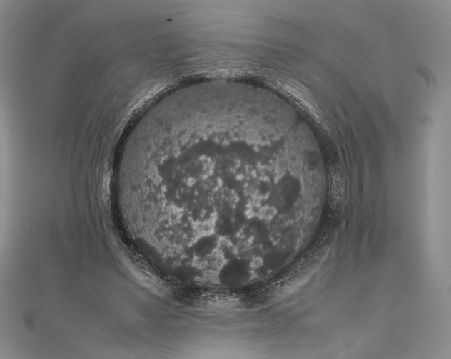 X0000112470491200908311353