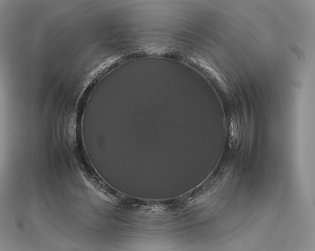 X0000112470492200908311353