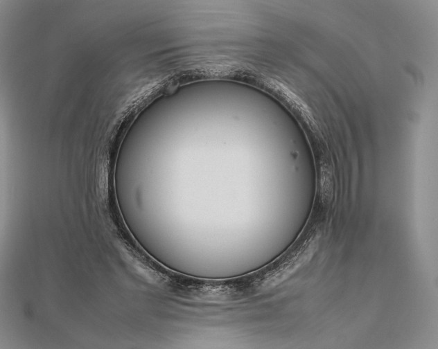 X0000112470493200908311353