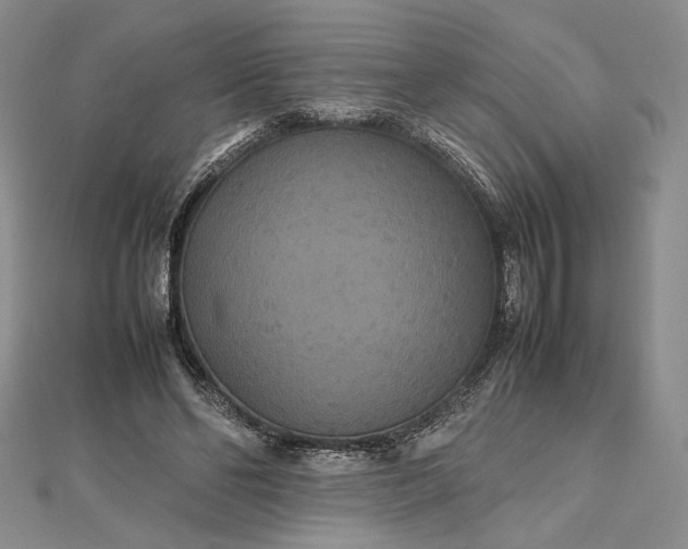 X0000112470494200908311353