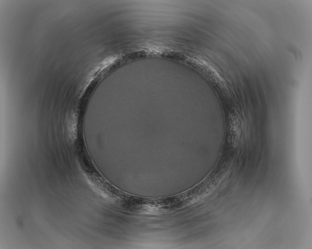 X0000112470496200908311353