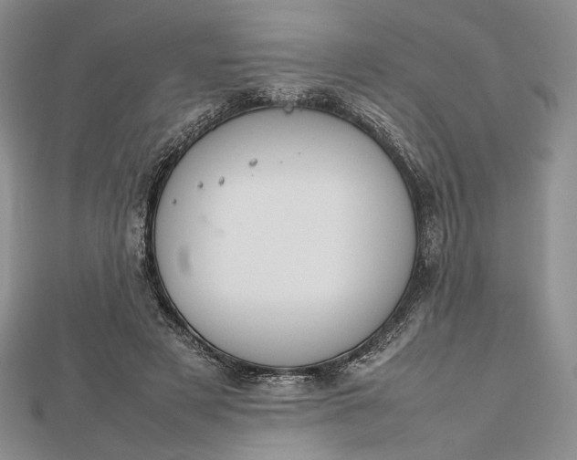 X0000112470497200908311353