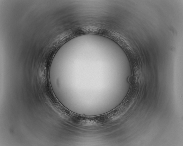 X0000112470498200908311353