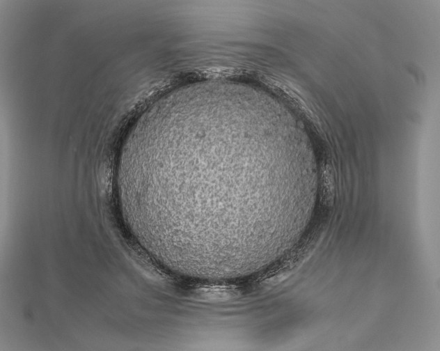 X0000112470499200908311353