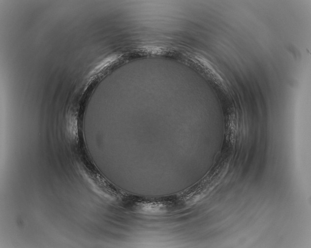 X0000112470500200908311353