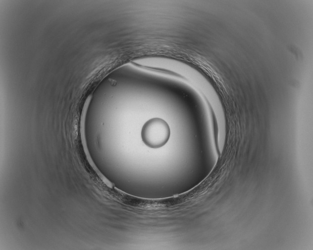 X0000112470501200908311353