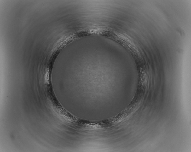 X0000112470502200908311353