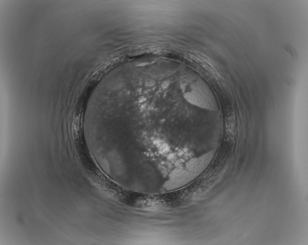 X0000112470503200908311352