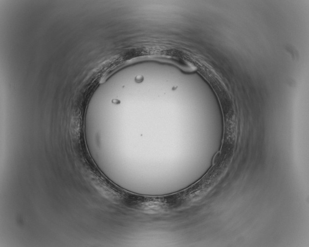 X0000112470505200908311352