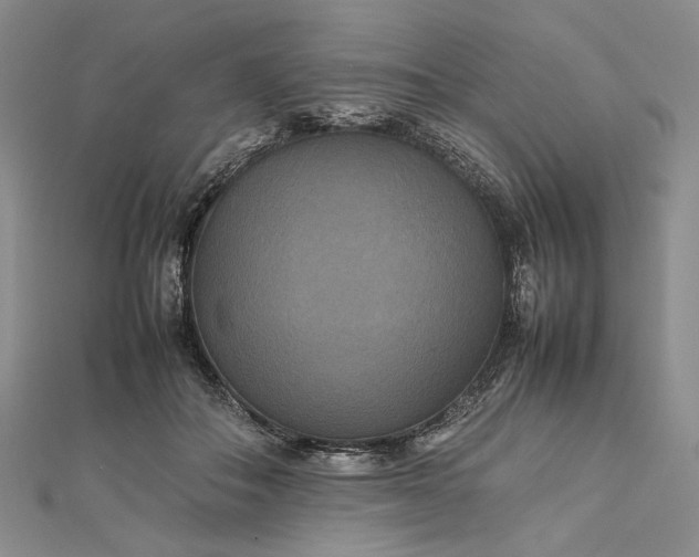 X0000112470506200908311352