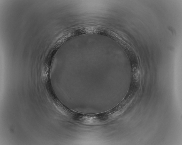 X0000112470507200908311352