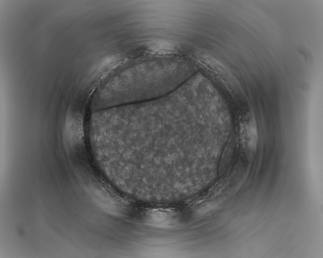 X0000112470508200908311352