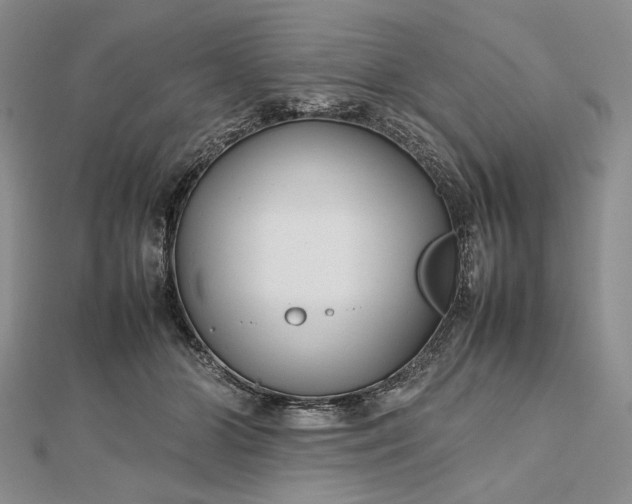 X0000112470510200908311352